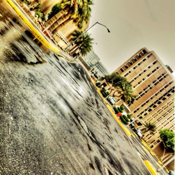 architecture, building exterior, built structure, low angle view, palm tree, tall - high, city, building, day, outdoors, no people, tilt, street, clear sky, sky, transportation, road, growth, skyscraper, residential building