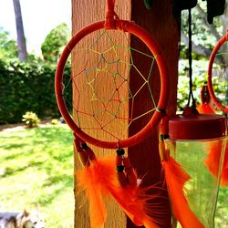 Close-up of clothes hanging on tree