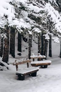 Snow covered land and trees on field during winter