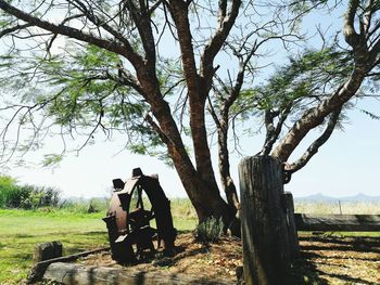 People sitting on tree at field against sky