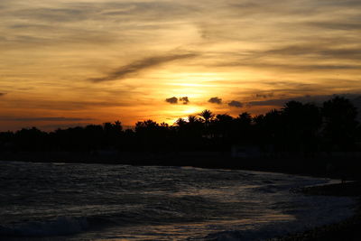 Silhouette of trees during sunset