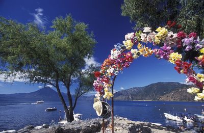 Colorful artificial flowers against sea
