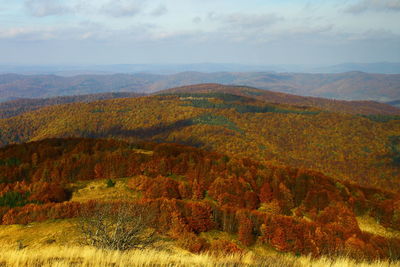 Scenic view of landscape against sky during autumn