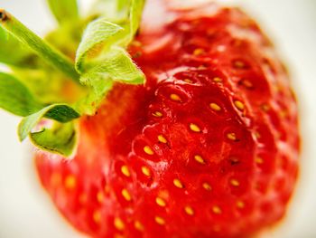 Close-up of strawberry