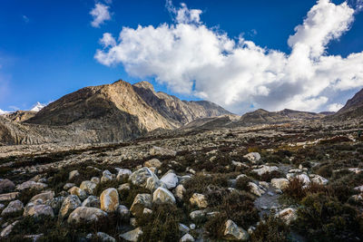 Panoramic view of landscape against sky