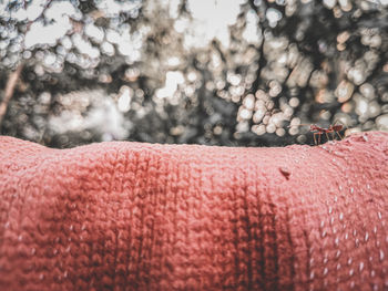 Close-up of human hand against snow