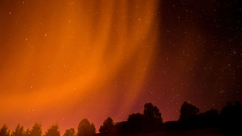 Silhouette trees against sky at night