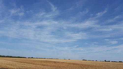 Scenic view of rural landscape