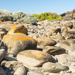 Rocks smoothed by the ocean on the seashore at deep creek south australia