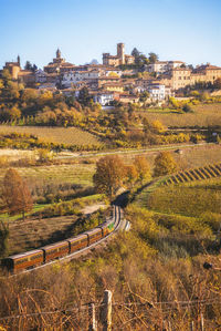 Steam train in the middle of the vineyards, piedmont
