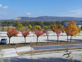 Plants growing by lake against sky during autumn