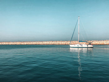 Sailboat sailing on sea against sky