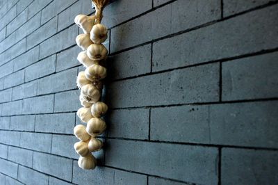 Garlic hanging on wall