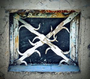 Close-up of animal representation