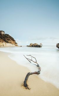 Driftwood on shore at beach against blue sky