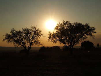 Silhouette trees on field against sky during sunset