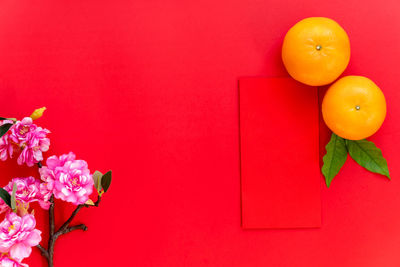 Close-up of orange flower against red background