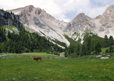 Idyllic and scenic panorama of the dolomites in val badia in italy in summer