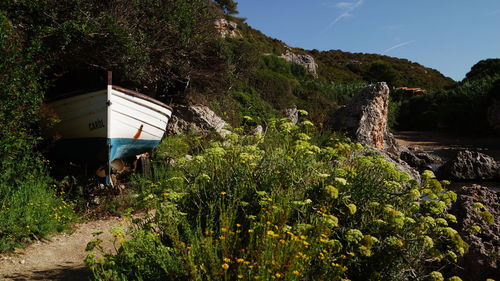 Boat moored by rock