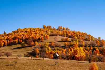 Autumn in the romanian mountains, fantanele village area, sibiu county, cindrel mountains, romania