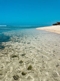 Scenic view of beach against clear blue sky