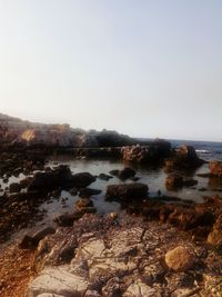 Rocks on beach against clear sky