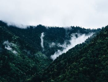 Scenic view of waterfall in forest against sky