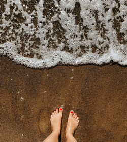 Low section of woman standing on beach