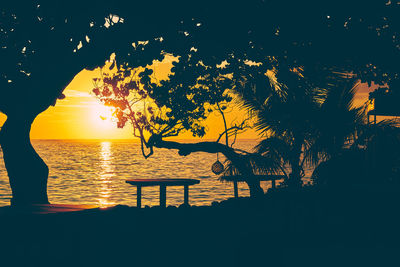 Silhouette tree by sea against sky during sunset