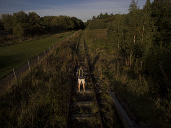 Panoramic shot of trees on land
