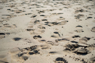 High angle view of footprints on sand at beach