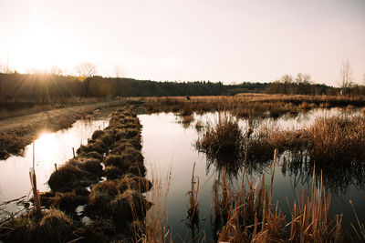 Wide angle view of a wetland at sunrise