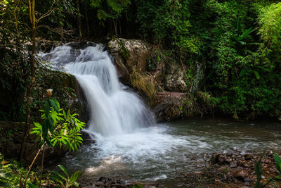 Scenic view of waterfall in forest