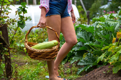 Low section of woman holding wicker basket