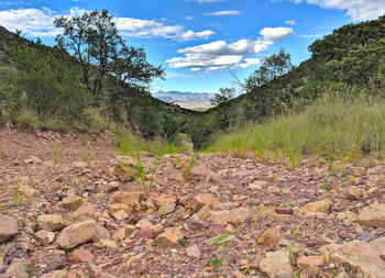 Scenic view of land against sky
