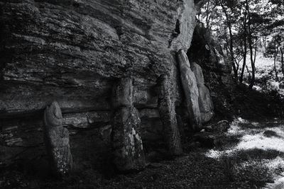 Old ruin with trees in background