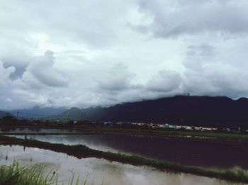 Scenic view of agricultural landscape against sky