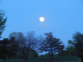 Scenic view of moon against clear blue sky