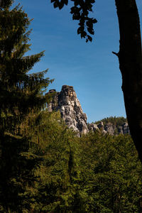 Low angle view of rock formation amidst trees against sky