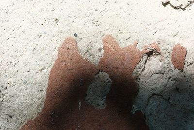 Shadow of person hand on wall