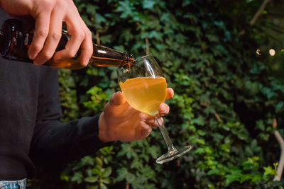 A waiter pours cider into a glass against the background of greenery.