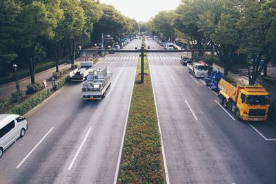 Cars moving on road amidst trees