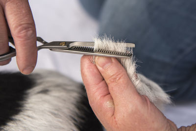 Cropped image of man working