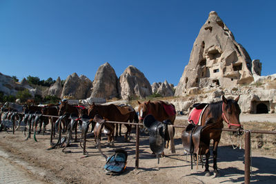 Panoramic view of a horse cart against the sky