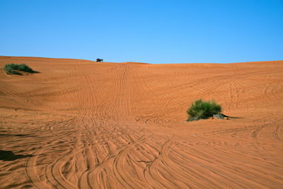 Around nazwa and pink rock desert, viewing of the sand and plant in the desert, sharjah, uae