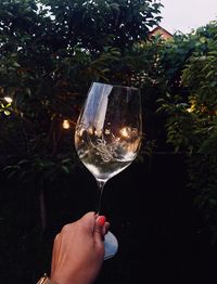 Cropped hand holding wineglass