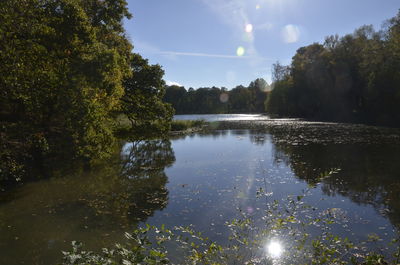 Scenic view of lake in forest against sky