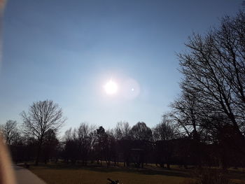 Sun shining through trees on field