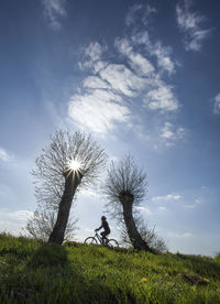 Low angle view of tree on field against sky