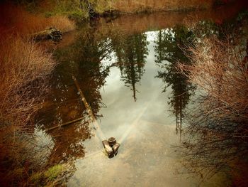 High angle view of turtle swimming in lake